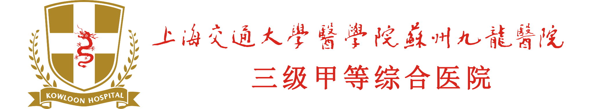 苏州九龙医院_[苏州九龙医院股份有限公司]